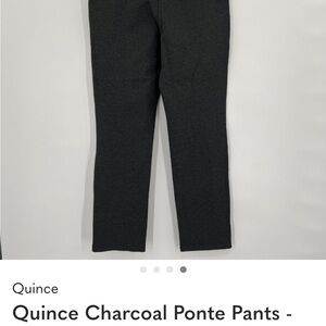 Quince Charcoal Ponte Pants - Straight Leg - Faux Pockets - L Petite - 28" - NWT